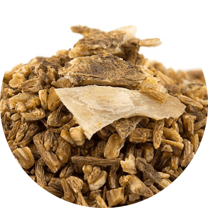 สารสกัดจากตังกุย (Dong Quai Extract)